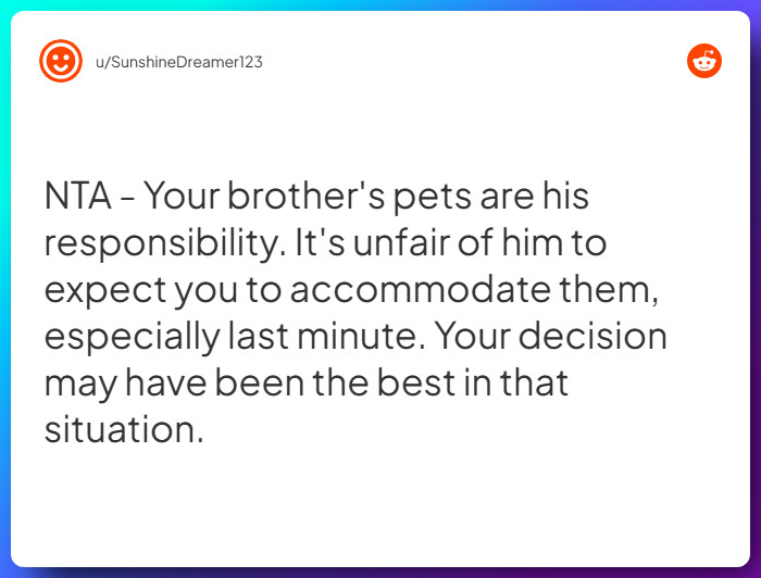 Comment from u/SunshineDreamer123