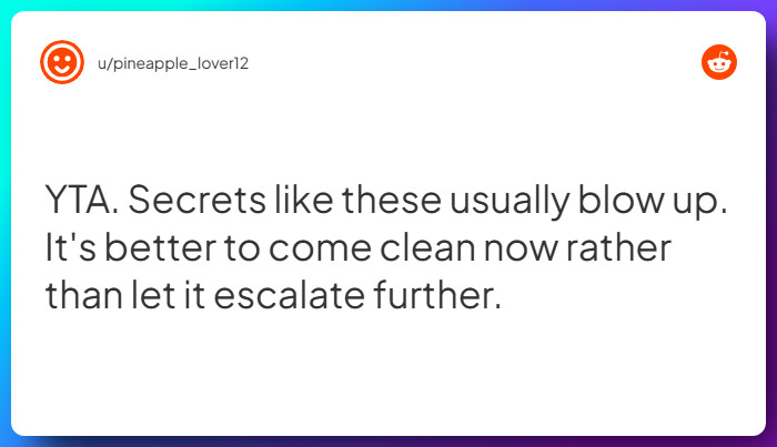 Comment from u/pineapple_lover12