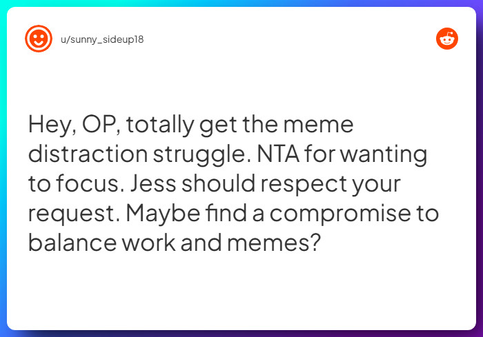 Comment from u/sunny_sideup18