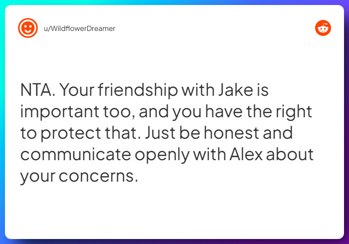 Comment from u/WildflowerDreamer