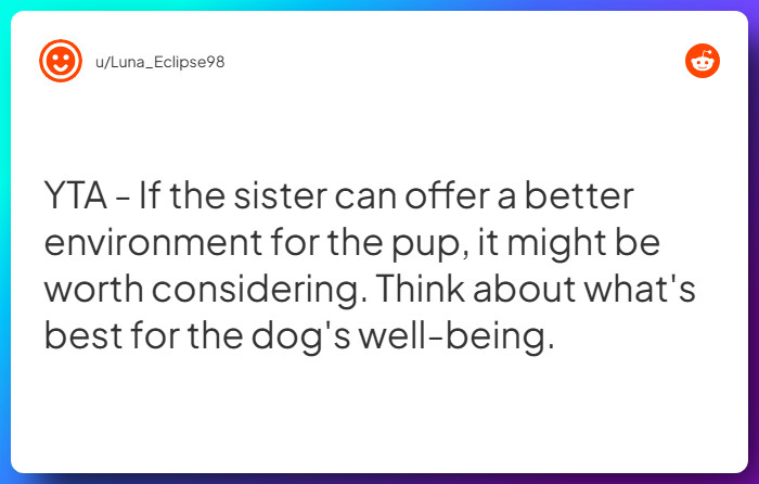 Comment from u/Luna_Eclipse98