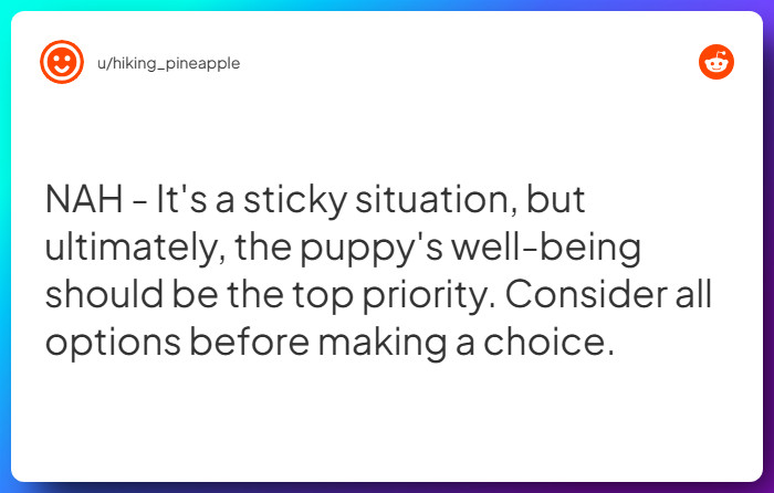 Comment from u/hiking_pineapple