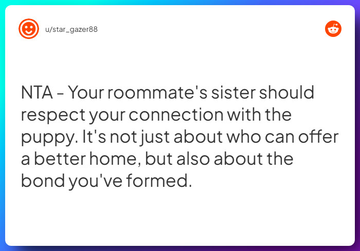 Comment from u/star_gazer88