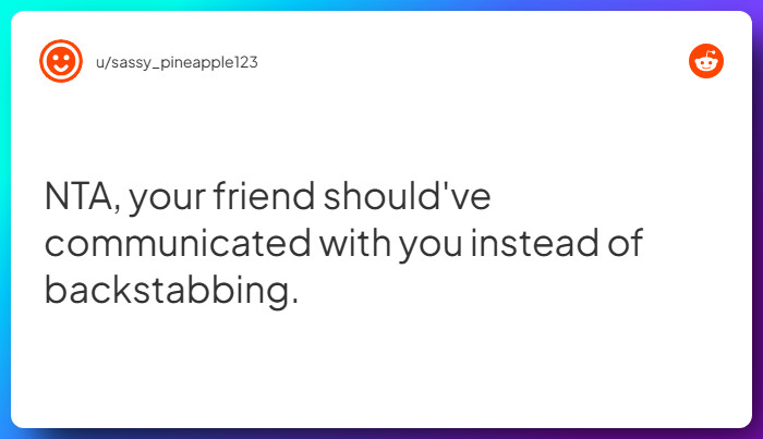 Comment from u/sassy_pineapple123