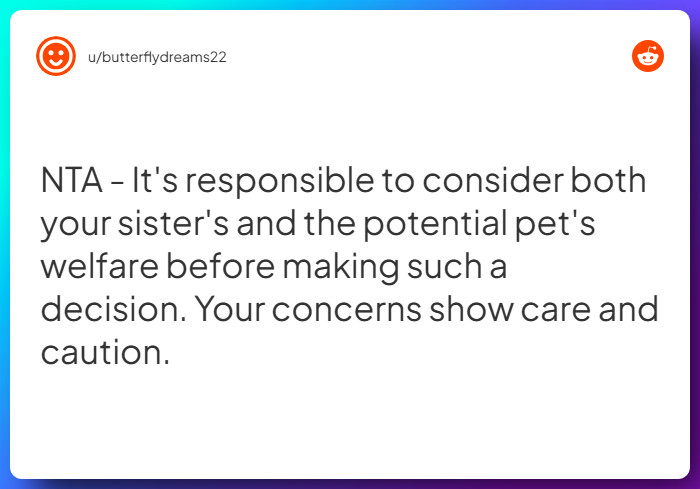 Comment from u/butterflydreams22