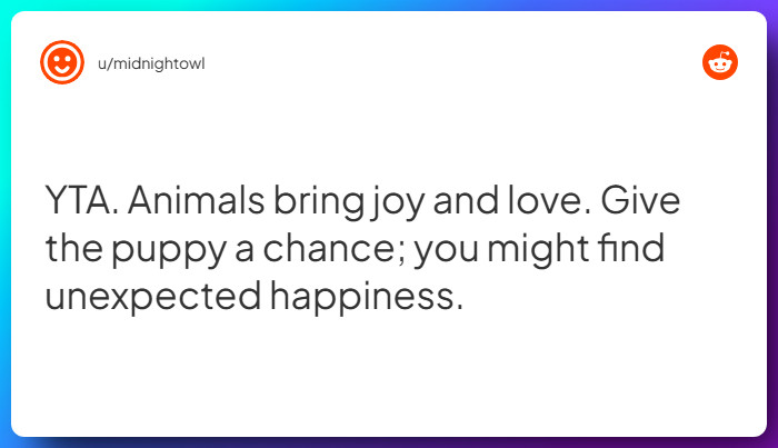 Comment from u/midnightowl