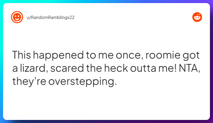 Comment from u/RandomRamblings22
