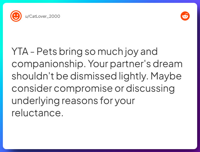 Comment from u/CatLover_2000