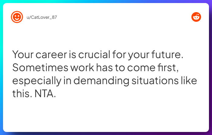 Comment from u/CatLover_87