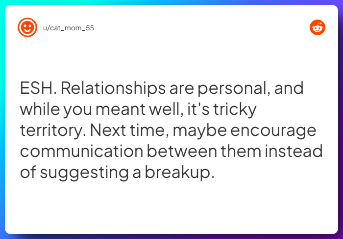 Comment from u/cat_mom_55