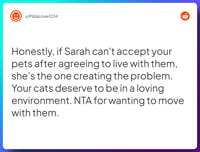 Comment from u/PizzaLover1234