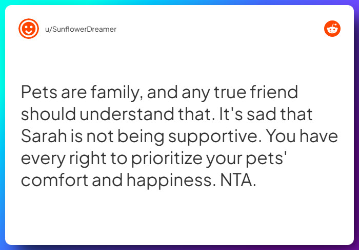 Comment from u/SunflowerDreamer
