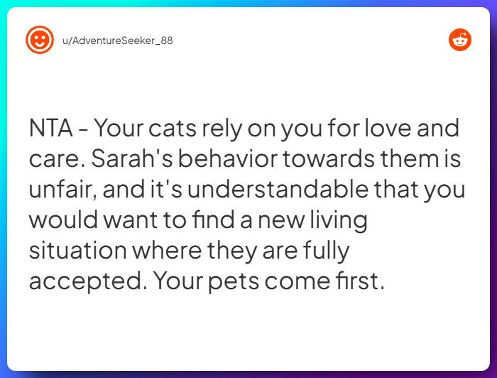 Comment from u/AdventureSeeker_88