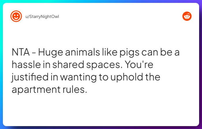 Comment from u/StarryNightOwl