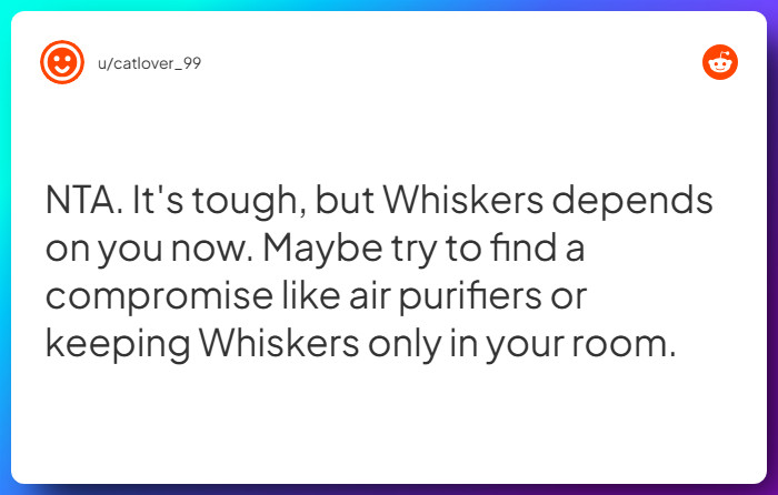 Comment from u/catlover_99