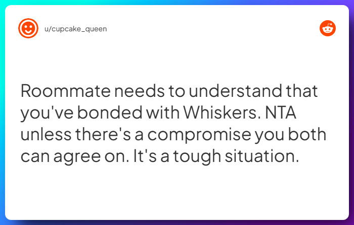 Comment from u/cupcake_queen