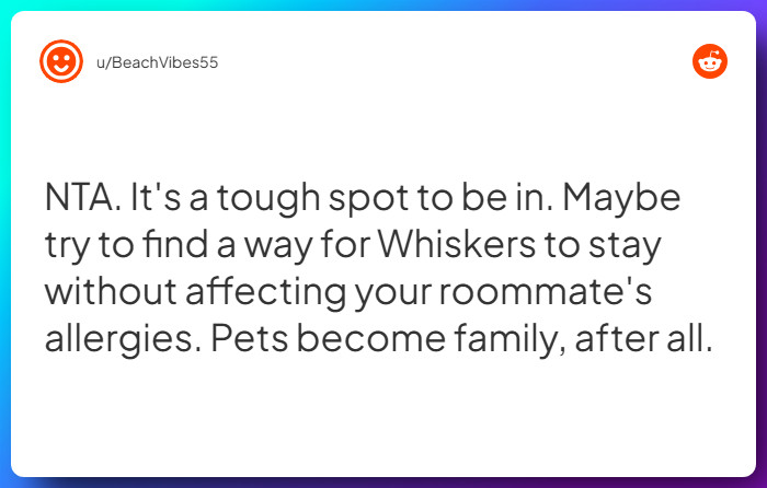 Comment from u/BeachVibes55