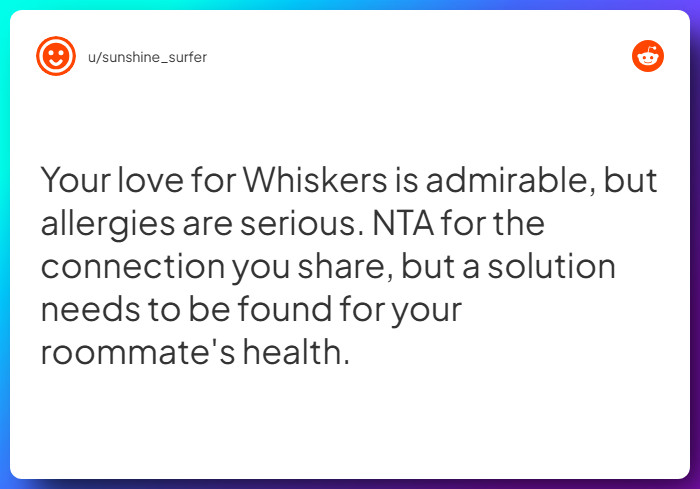 Comment from u/sunshine_surfer