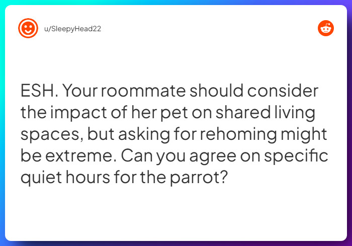 Comment from u/SleepyHead22