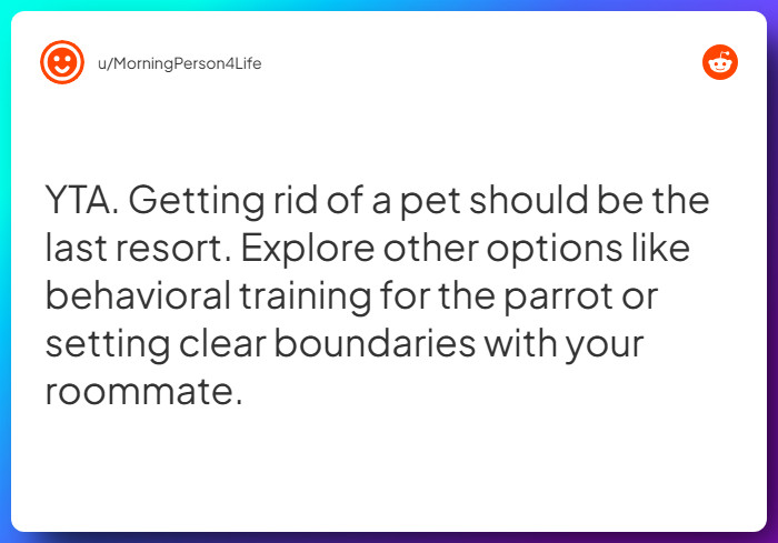Comment from u/MorningPerson4Life