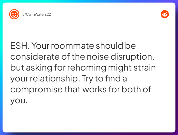 Comment from u/CalmWaters22