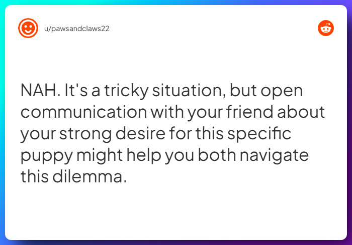Comment from u/pawsandclaws22