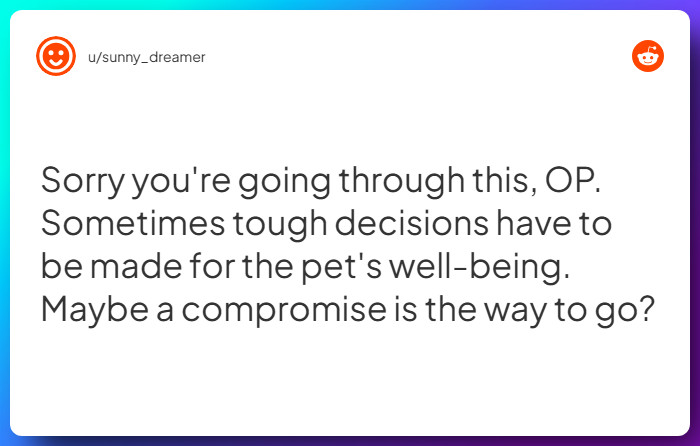 Comment from u/sunny_dreamer