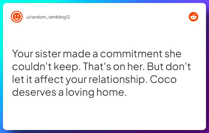 Comment from u/random_rambling12