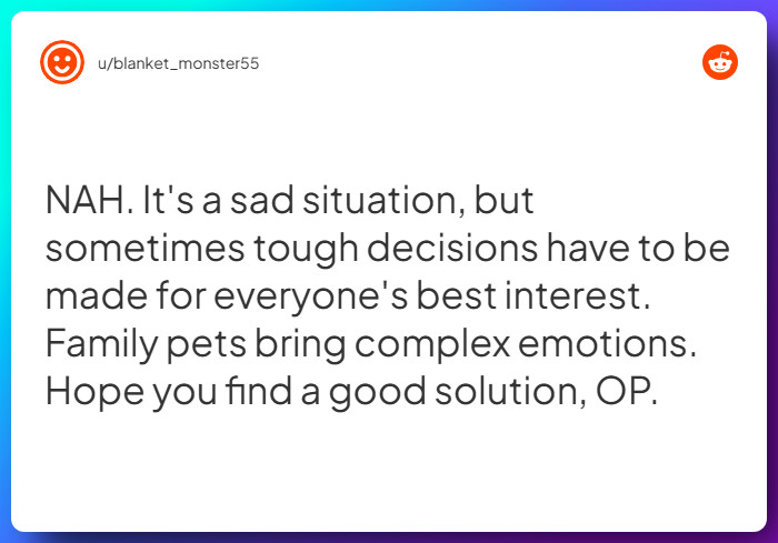 Comment from u/blanket_monster55