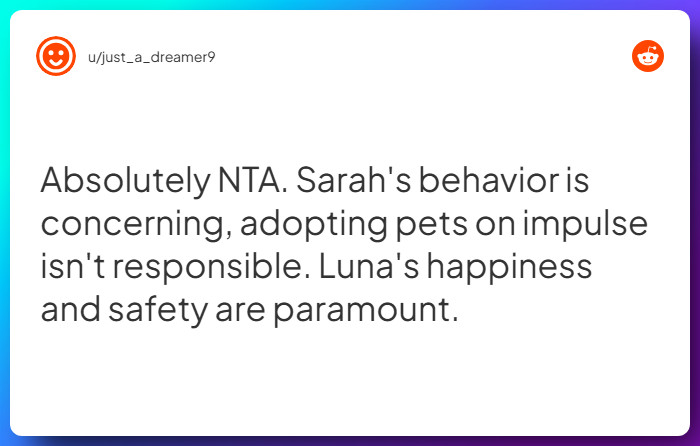 Comment from u/just_a_dreamer9