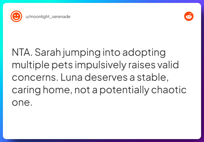 Comment from u/moonlight_serenade
