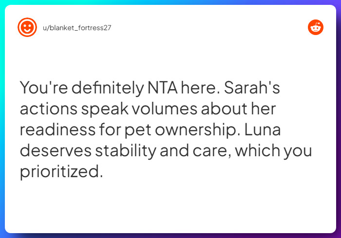 Comment from u/blanket_fortress27