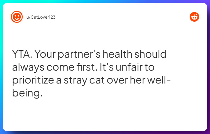 Comment from u/CatLover123