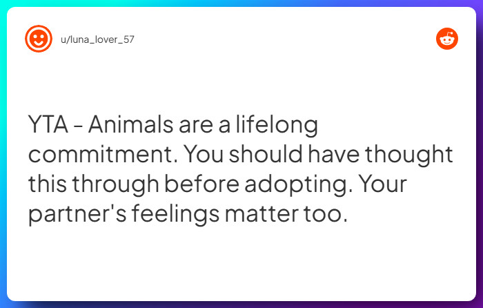 Comment from u/luna_lover_57