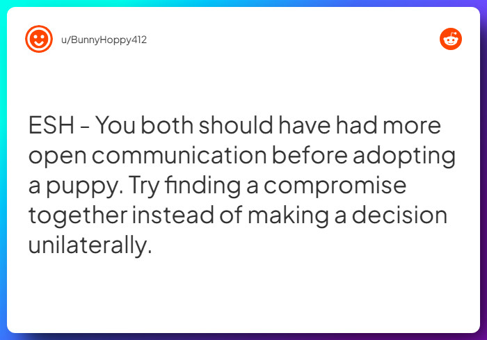 Comment from u/BunnyHoppy412