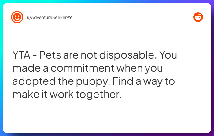 Comment from u/AdventureSeeker99