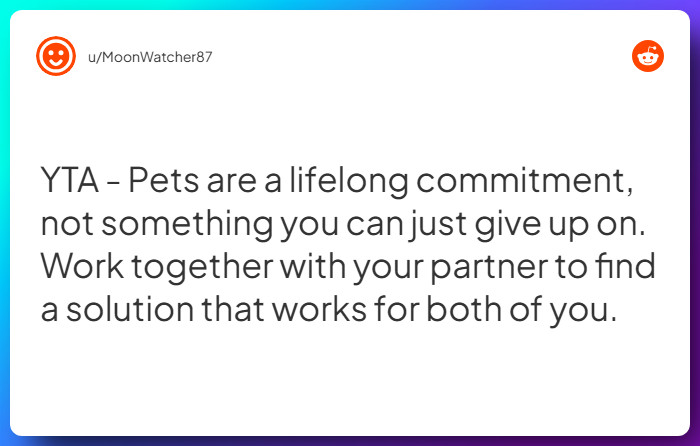 Comment from u/MoonWatcher87