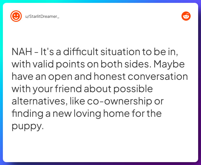 Comment from u/StarlitDreamer_