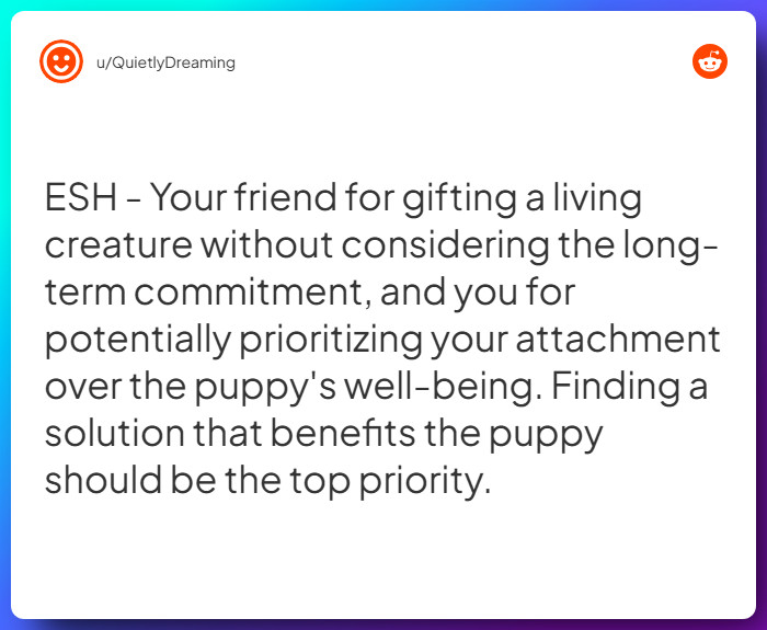 Comment from u/QuietlyDreaming