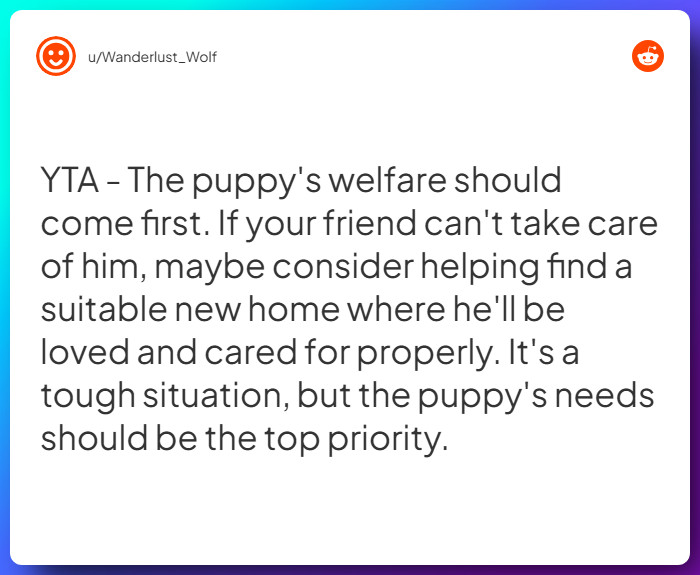 Comment from u/Wanderlust_Wolf