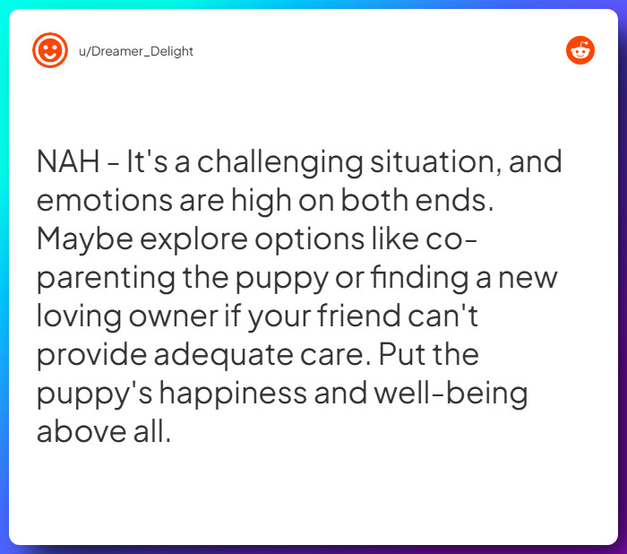 Comment from u/Dreamer_Delight
