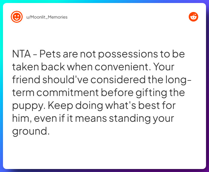 Comment from u/Moonlit_Memories