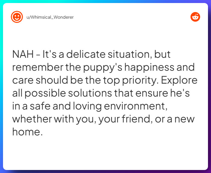 Comment from u/Whimsical_Wonderer