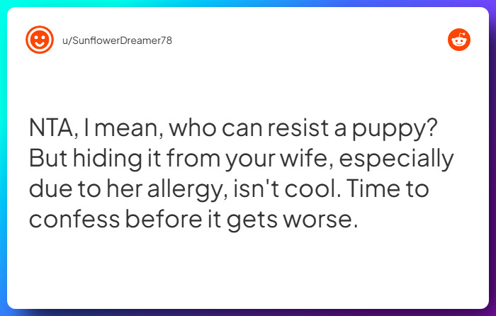Comment from u/SunflowerDreamer78