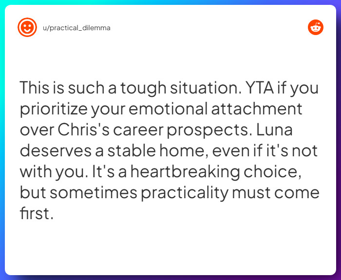 Comment from u/practical_dilemma