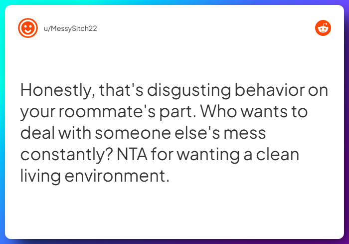 Comment from u/MessySitch22