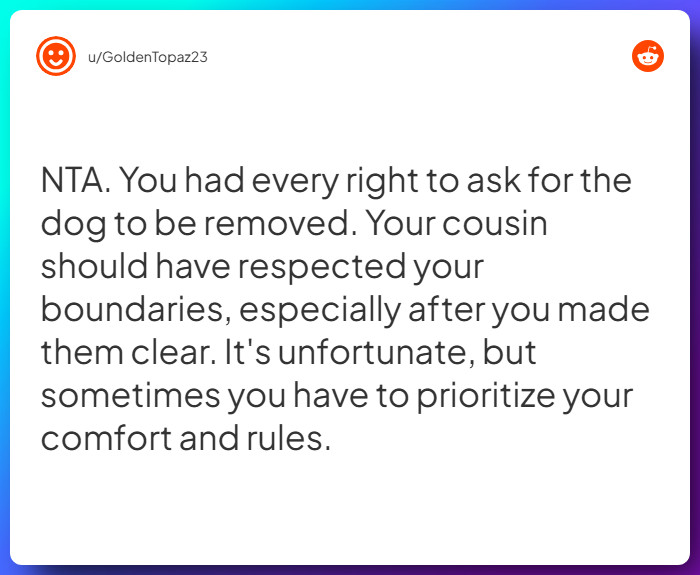 Comment from u/GoldenTopaz23