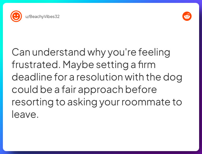 Comment from u/BeachyVibes32