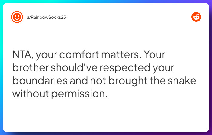 Comment from u/RainbowSocks23