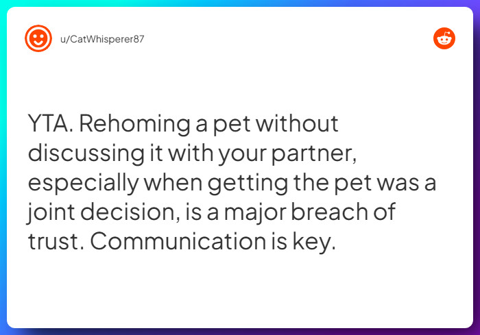 Comment from u/CatWhisperer87